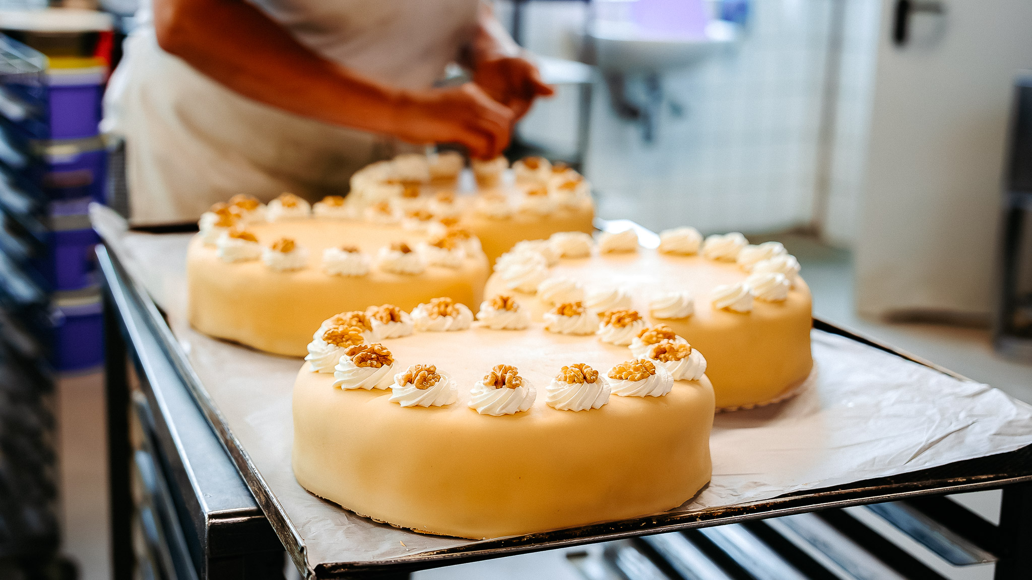 DSC01897 A7S3 Images April BK 2025 Enhanced NR